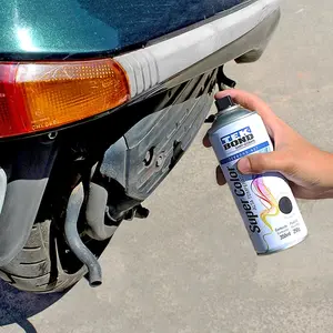 Foto de aplicação - Tinta Spray Alta Temperatura - 3