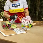 Foto de aplicação - Verniz Spray Brilhante - 13
